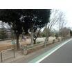 公園