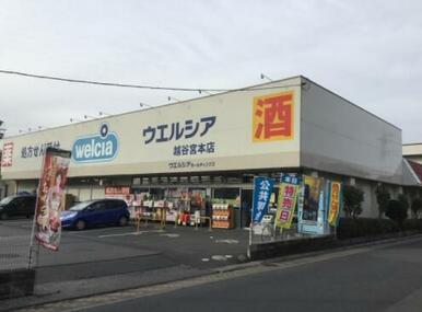 ウエルシア越谷宮本店