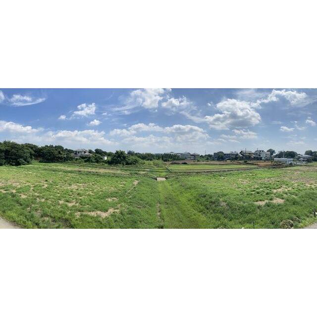 【２号棟】見上げればそこに広がる大空。溢れんばかりの緑の景色。１曲、曲が書けそうです♪