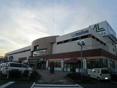 モリーブ　守山店