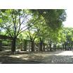 公園