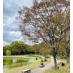 公園