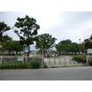 公園