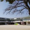 幼稚園、保育園