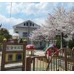 幼稚園、保育園