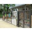 幼稚園、保育園