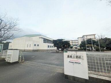 糸島市立前原小学校