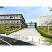 大学