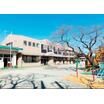 幼稚園、保育園
