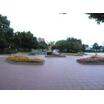 公園