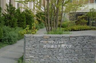 湘南鎌倉医療大学
