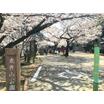 公園