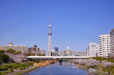 亀戸中央公園