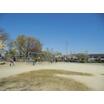 公園
