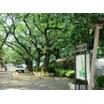 公園
