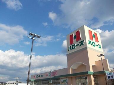 ハローズ鳴門店