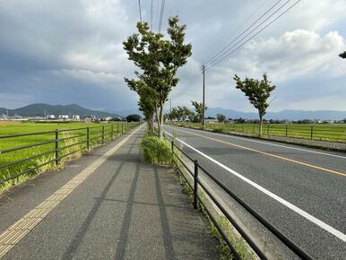 元岡小学校までの通学路