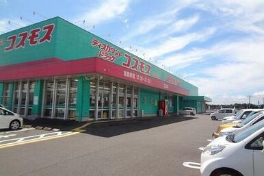 コスモス