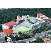 大学