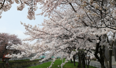 白石あかつき公園野球場