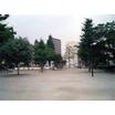 公園