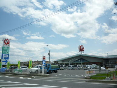 コメリハード＆グリーン岐阜三輪店