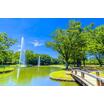 公園
