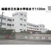 周辺環境