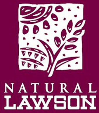 ローソン文京音羽一丁目店