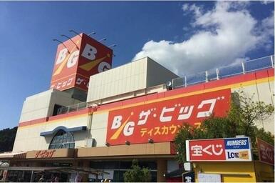 ザ・ビッグ