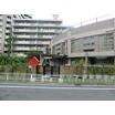 幼稚園、保育園
