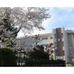 中学校