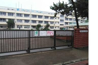 葛飾区立柴又小学校