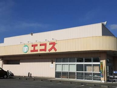 エコス金沢店