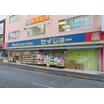 販売店