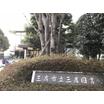 図書館