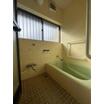 バス/シャワー