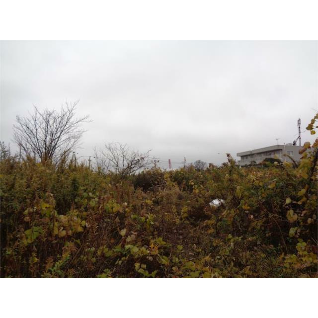  鰐川
