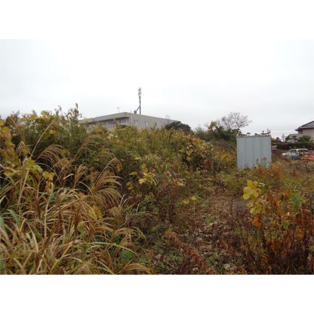  鰐川
