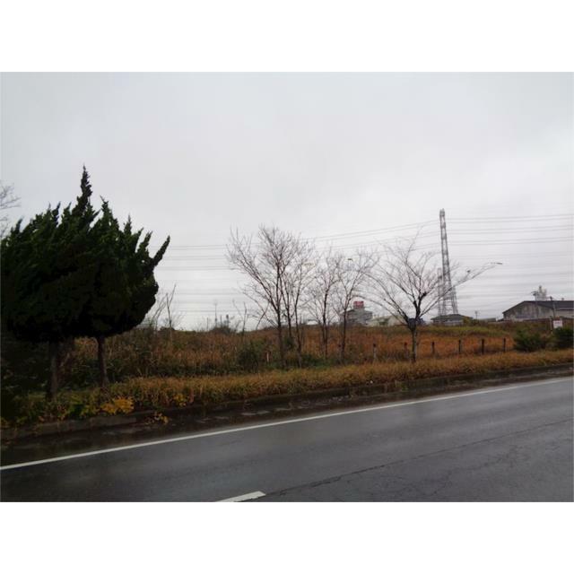  鰐川