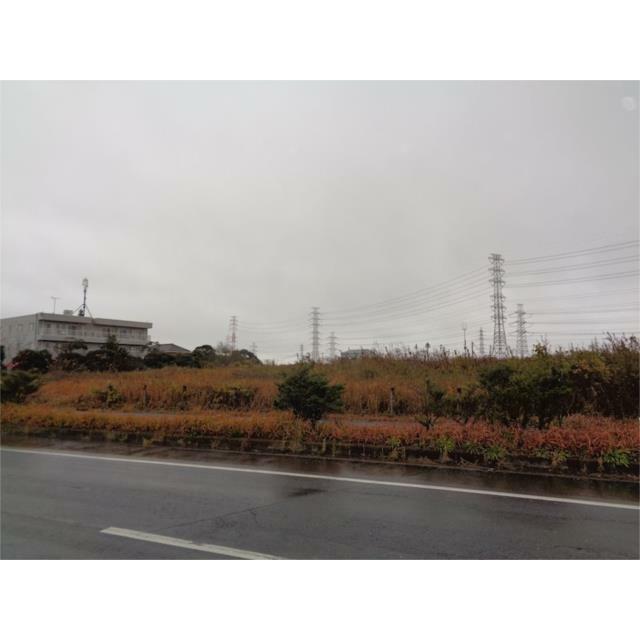  鰐川