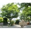 公園