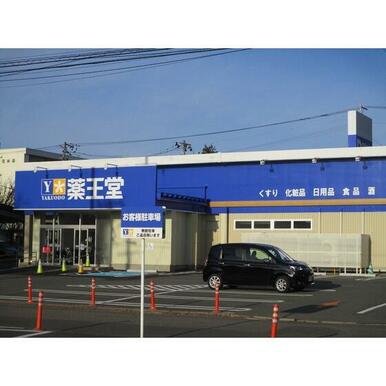 薬王堂盛岡中野店