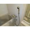 バス/シャワー