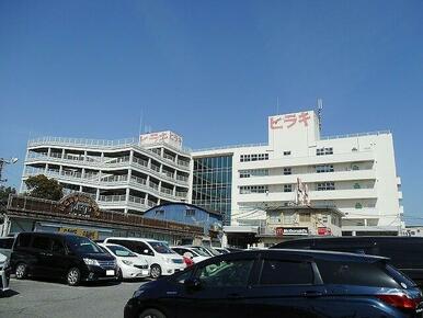 ヒラキ岩岡店