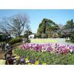 公園