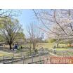 公園