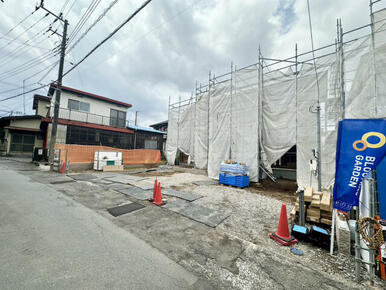 現地写真（6/19撮影）