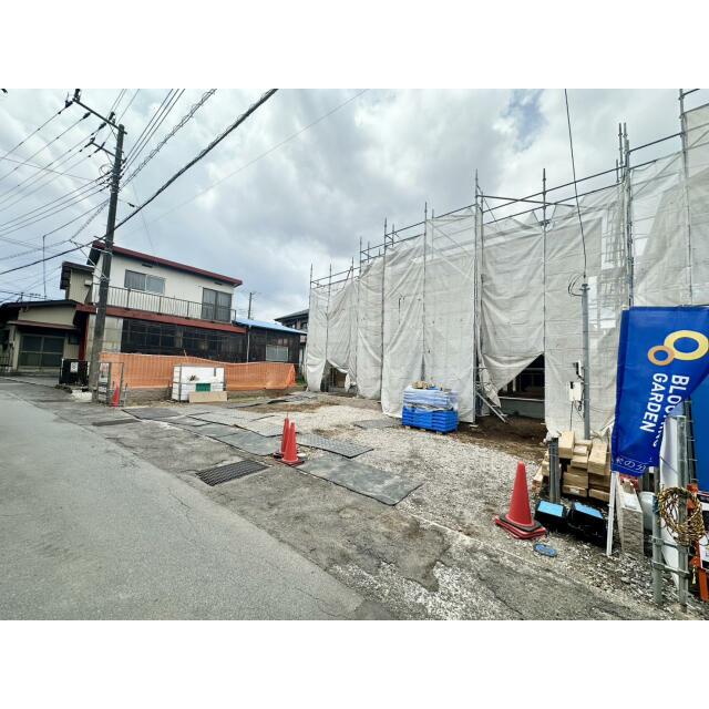 現地写真（6/19撮影）