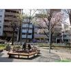 公園